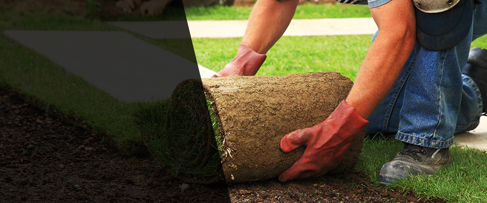 Sells Landscapers